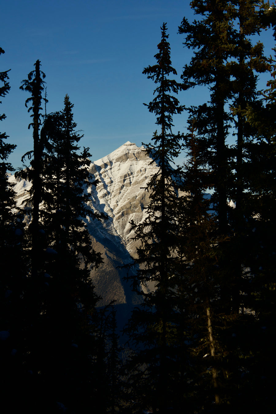 The Banff Springs