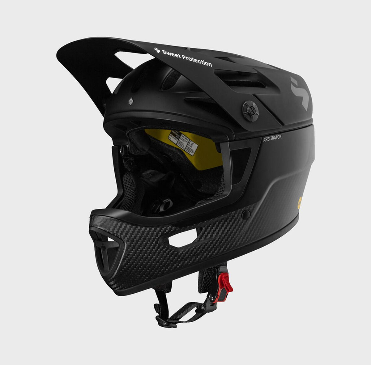 Arbitrator MIPS Helmet Chateau Mountain Sports