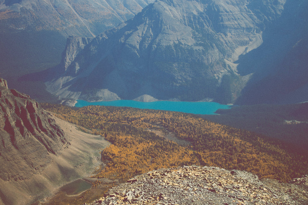 Local's Guide: The Best Larch Hikes in the Canadian Rockies