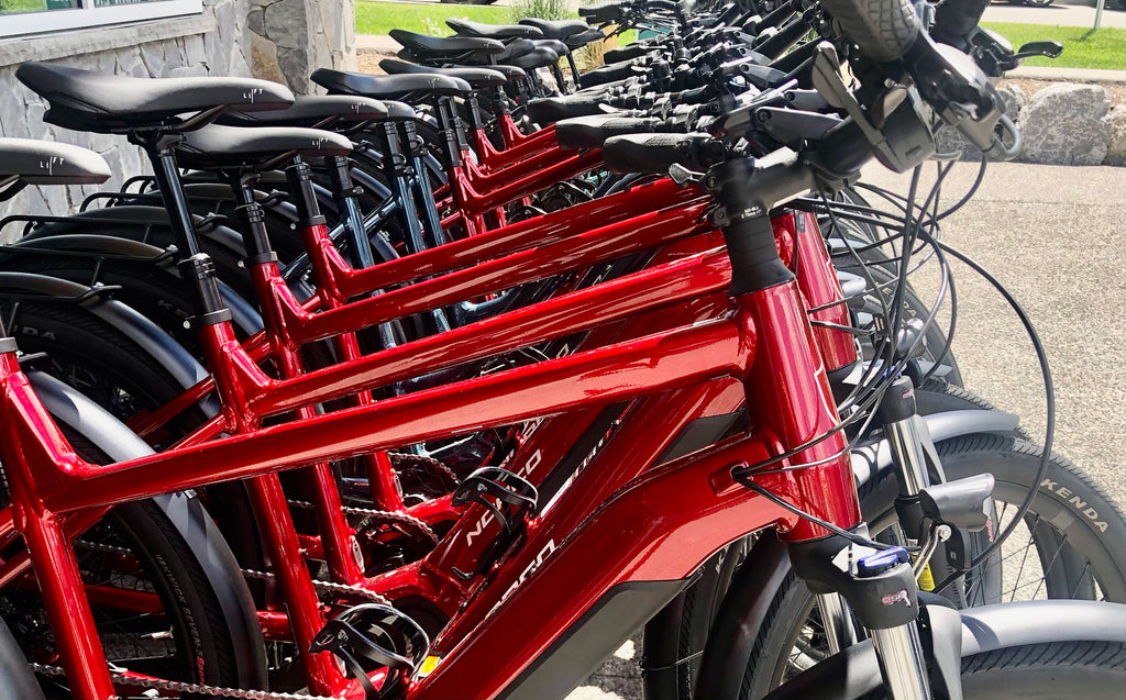 Used Bike Rentals for Sale