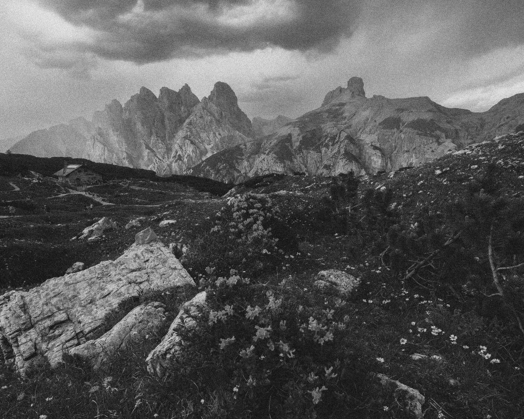 A Locals Guide to Wildflower Hikes in the Canadian Rockies