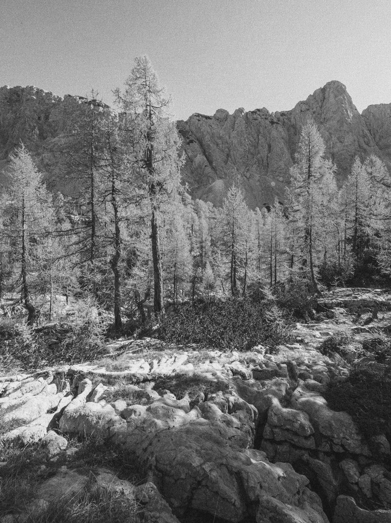 Local's Guide: The Best Larch Hikes in the Canadian Rockies