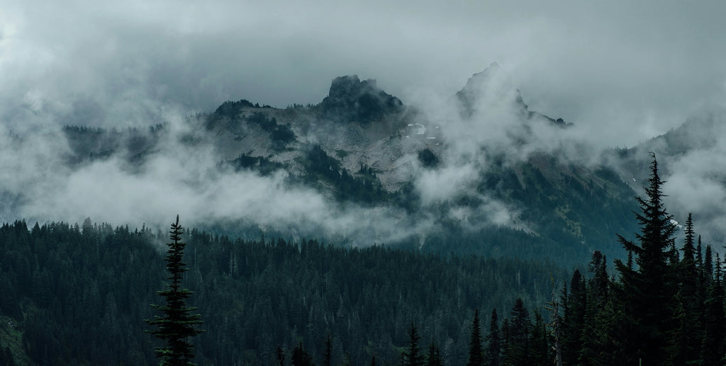 Preparing for a Rainy Hike in the Canadian Rockies