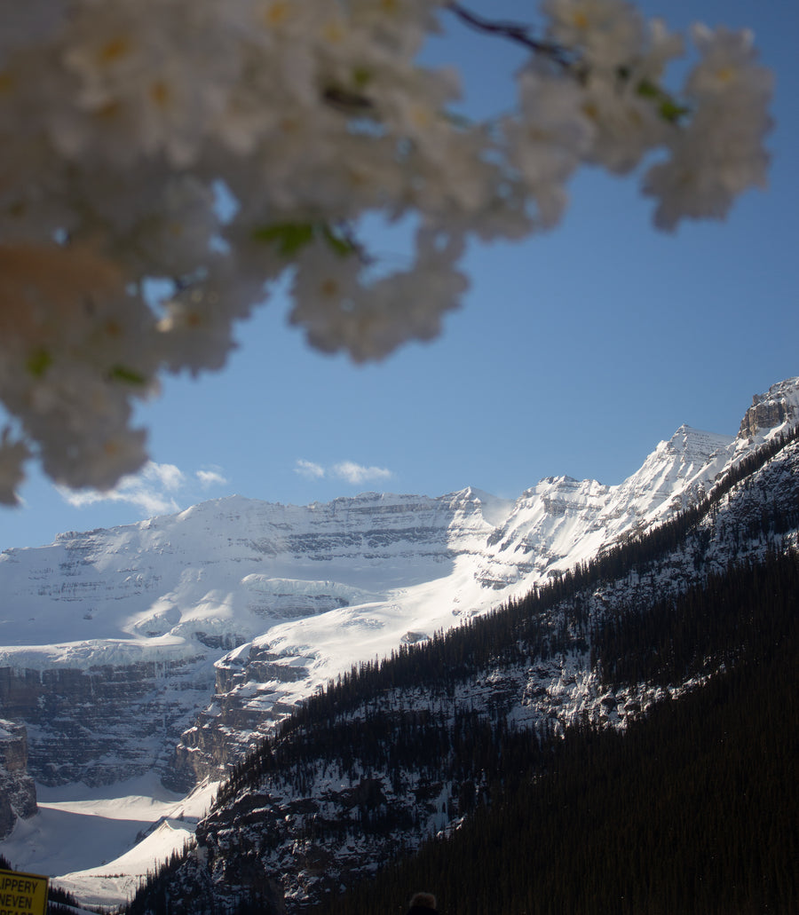 Chateau Lake Louise