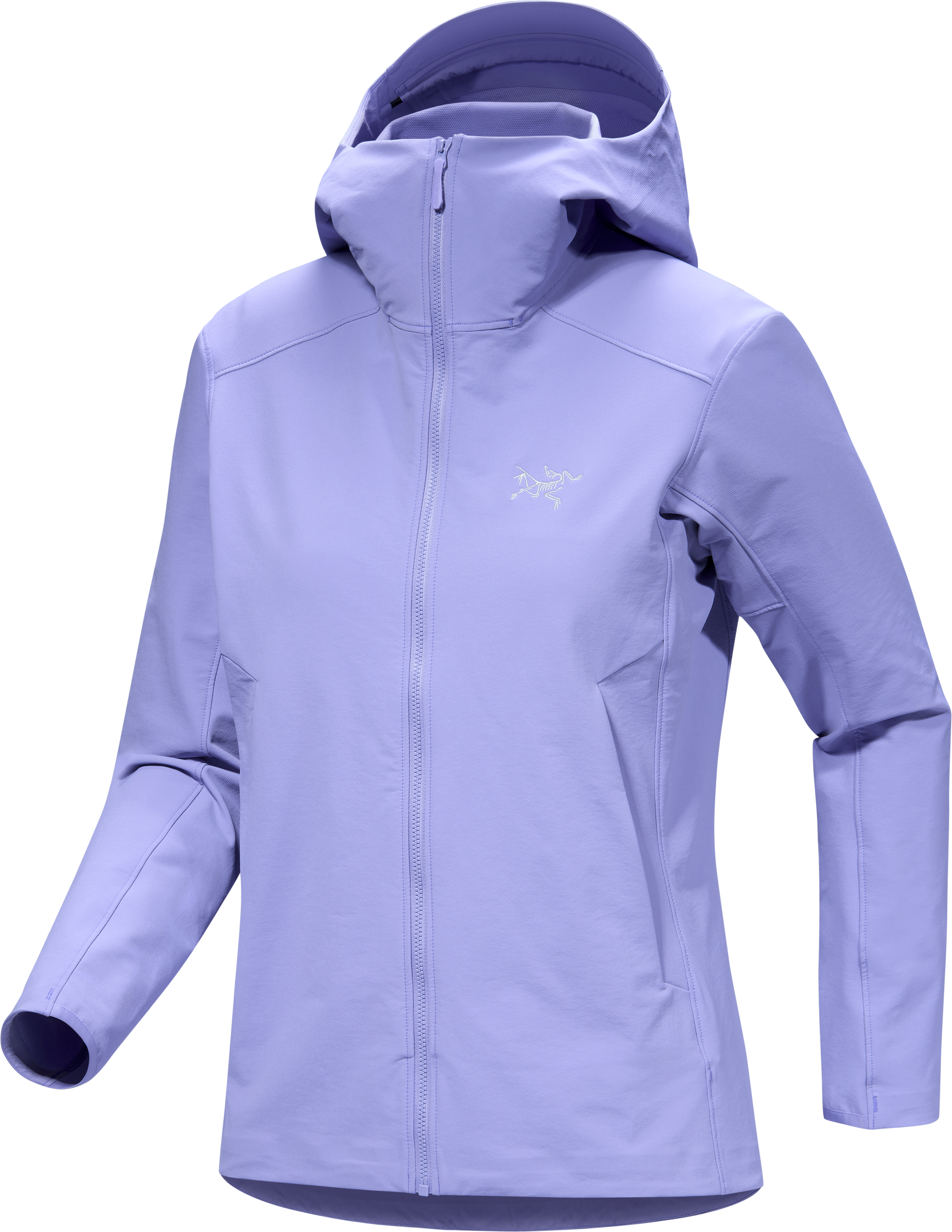 Gamma Hoody Women's – Château Mountain Sports