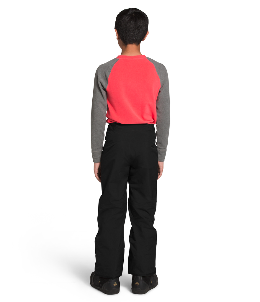 Freedom Insulated Pant Boys' - The North Face - Chateau Mountain Sports 