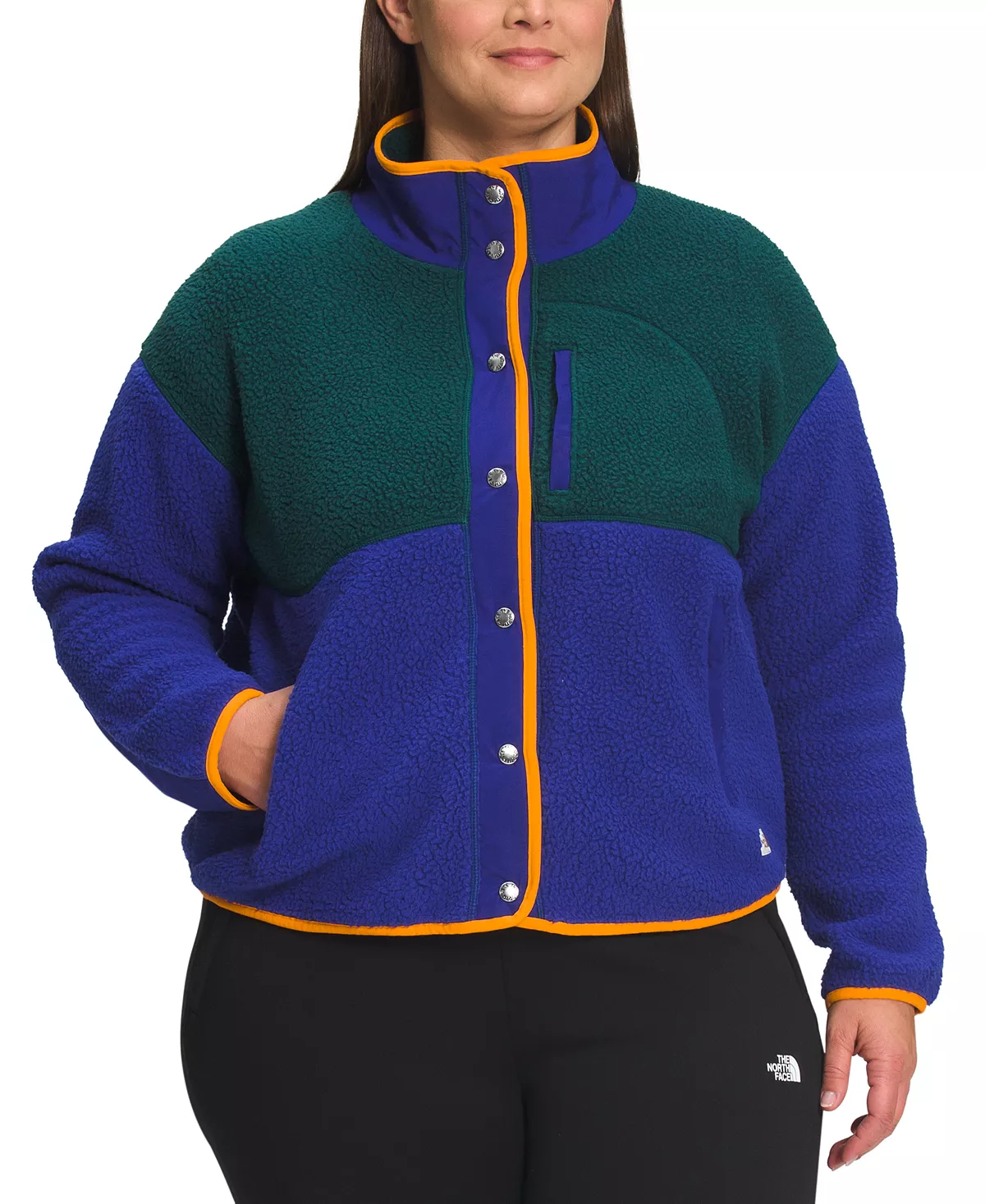 The North Face Plus Size Cragmont Fleece Jacket