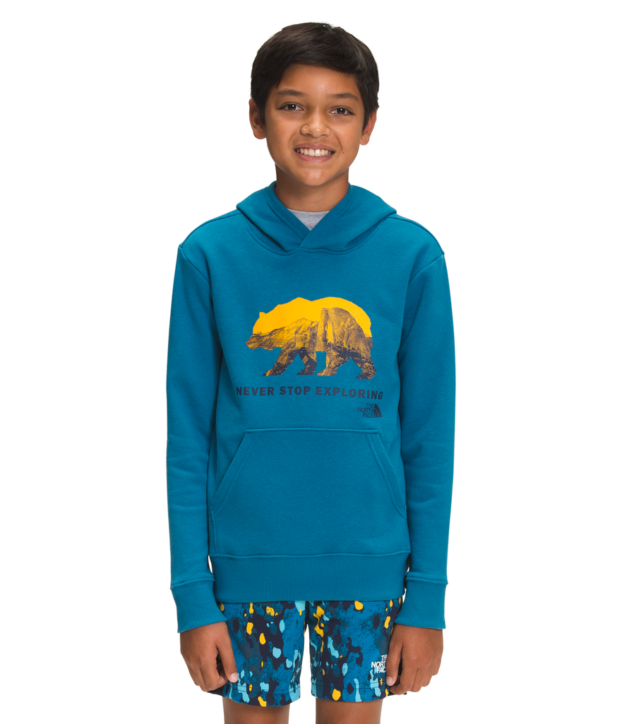 Bearscape hoodie 2025