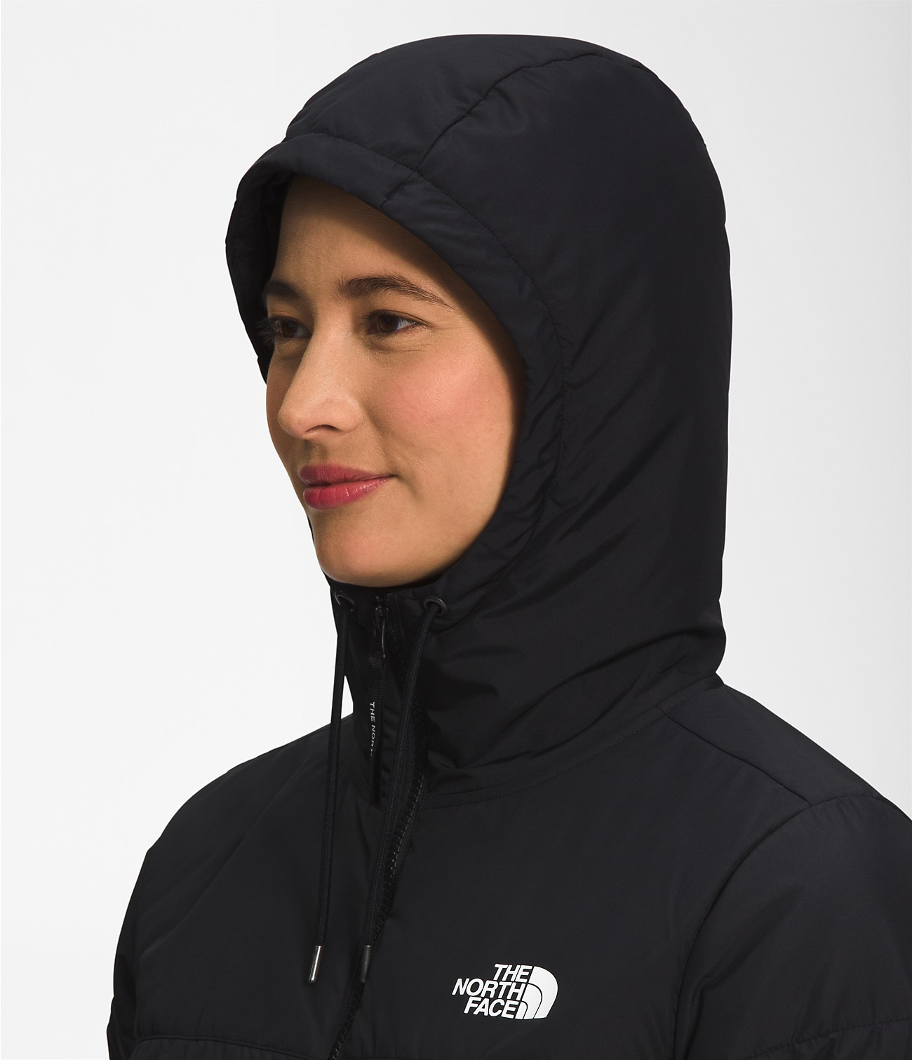 Women's stretch down best sale hoodie north face